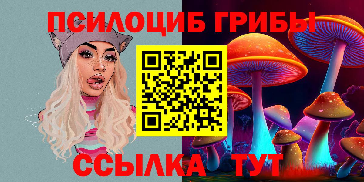 Галлюциногенные грибы GOLDEN TEACHER Камышлов