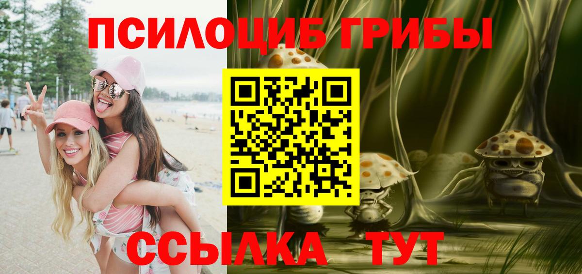 Псилоцибиновые грибы ЛСД  Вход с VPN  Галлюциногенные грибы мицелий  Камышлов 