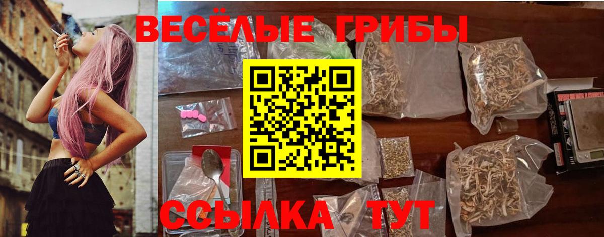 где купить наркоту  Камышлов  Псилоцибиновые грибы мицелий  Галлюциногенные грибы GOLDEN TEACHER 